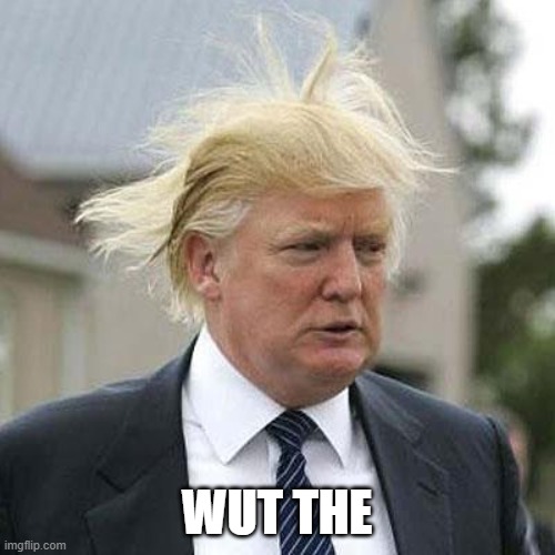 Donald Trump | WUT THE | image tagged in donald trump | made w/ Imgflip meme maker