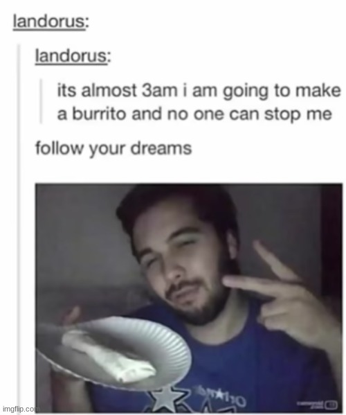 Truly Insparational | image tagged in burrito,inspirational,oh boy 3 am | made w/ Imgflip meme maker