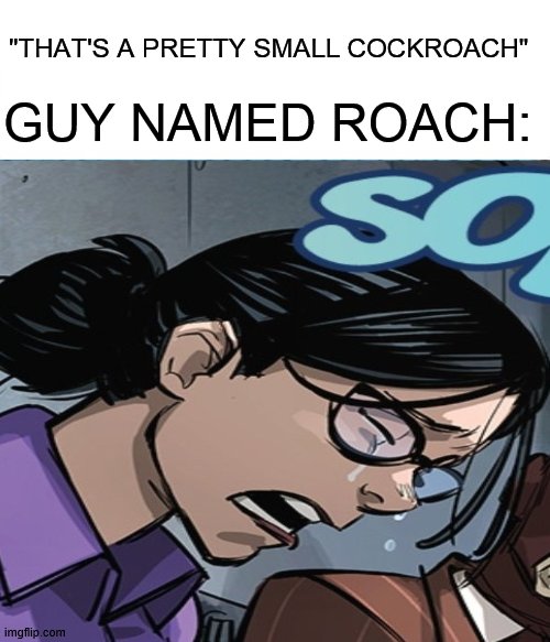 ouch | "THAT'S A PRETTY SMALL COCKROACH"; GUY NAMED ROACH: | image tagged in tf2,team fortress 2,fun,crying,puns,cock | made w/ Imgflip meme maker