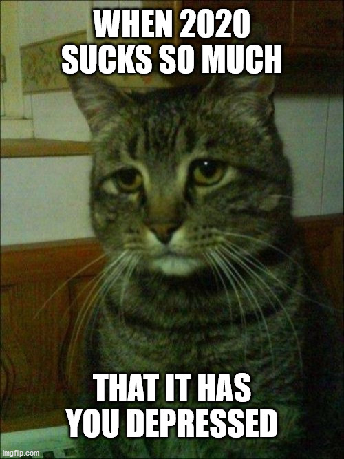 Depressed Cat Meme | WHEN 2020 SUCKS SO MUCH; THAT IT HAS YOU DEPRESSED | image tagged in memes,depressed cat,2020,sad,funny,relatable | made w/ Imgflip meme maker