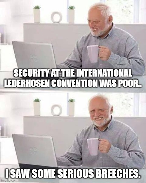 Hide the Pain Harold Meme | SECURITY AT THE INTERNATIONAL LEDERHOSEN CONVENTION WAS POOR.. I SAW SOME SERIOUS BREECHES. | image tagged in memes,hide the pain harold | made w/ Imgflip meme maker