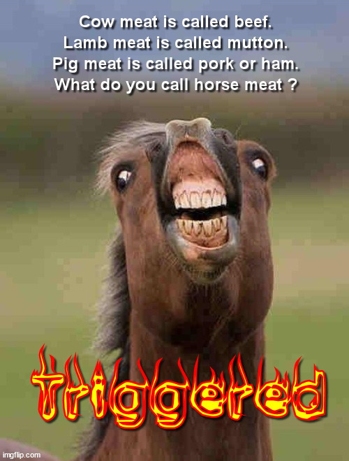 Special of the Day: Horse Meat | image tagged in horse,meat | made w/ Imgflip meme maker