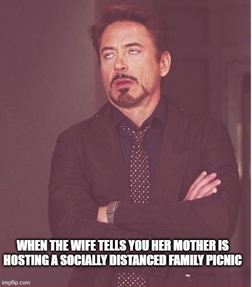 WHEN THE WIFE TELLS YOU HER MOTHER IS HOSTING A SOCIALLY DISTANCED FAMILY PICNIC | image tagged in funny,robert downey jr,quarantine | made w/ Imgflip meme maker