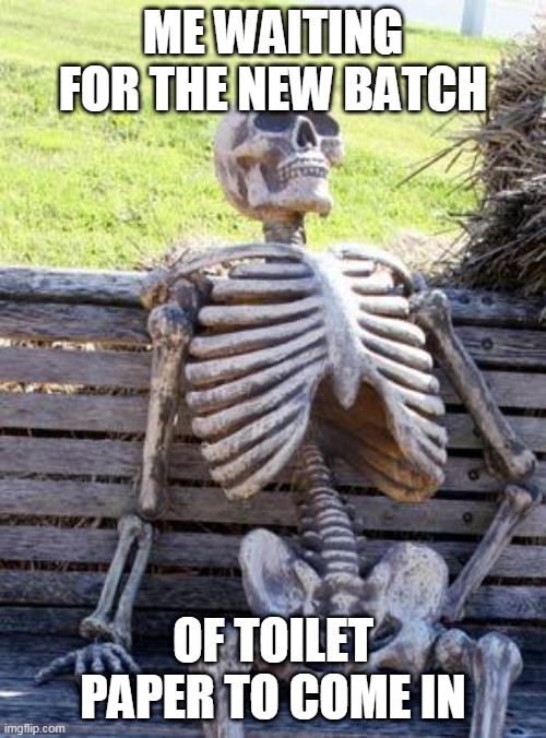 Waiting Skeleton | ME WAITING FOR THE NEW BATCH; OF TOILET PAPER TO COME IN | image tagged in memes,waiting skeleton | made w/ Imgflip meme maker
