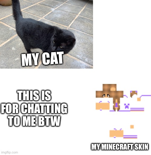 This is just for chatting to me | MY CAT; THIS IS FOR CHATTING TO ME BTW; MY MINECRAFT SKIN | image tagged in blank template,minecraft,cats,chat | made w/ Imgflip meme maker