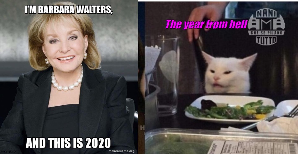 The year from hell | image tagged in white cat table | made w/ Imgflip meme maker