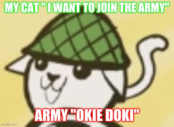 Im a cat | MY CAT '' I WANT TO JOIN THE ARMY''; ARMY ''OKIE DOKI'' | image tagged in meow | made w/ Imgflip meme maker
