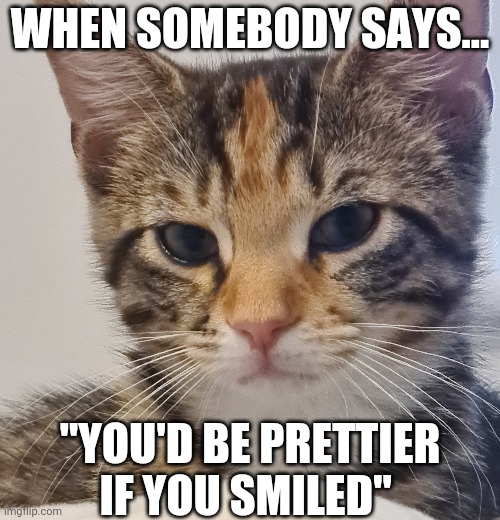 WHEN SOMEBODY SAYS... "YOU'D BE PRETTIER IF YOU SMILED" | image tagged in cat,fake smile,evil smile,customer service,annoying customers,retail | made w/ Imgflip meme maker