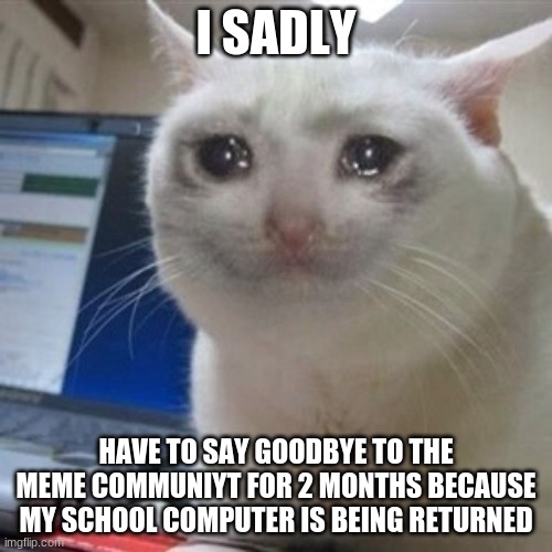 :(((((((((((((( | I SADLY; HAVE TO SAY GOODBYE TO THE MEME COMMUNIYT FOR 2 MONTHS BECAUSE MY SCHOOL COMPUTER IS BEING RETURNED | image tagged in crying cat | made w/ Imgflip meme maker