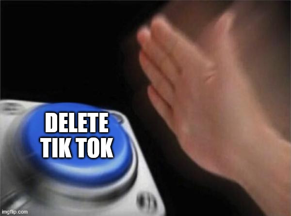 Blank Nut Button Meme | DELETE TIK TOK | image tagged in memes,blank nut button | made w/ Imgflip meme maker