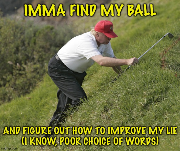 trump golfing | IMMA FIND MY BALL AND FIGURE OUT HOW TO IMPROVE MY LIE
(I KNOW, POOR CHOICE OF WORDS) | image tagged in trump golfing | made w/ Imgflip meme maker