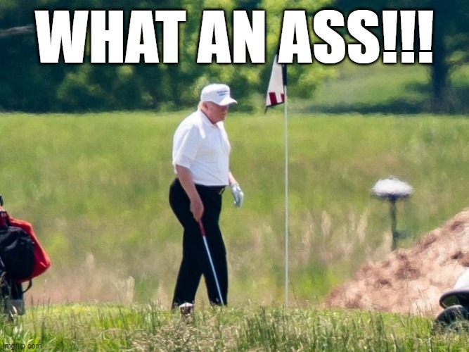 dumpy trump golfs May 2020 | WHAT AN ASS!!! | image tagged in obese,trump,covid,golf | made w/ Imgflip meme maker