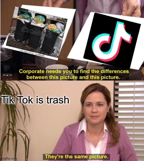 I’d rather hop into a trash can than download Tik tok | Tik Tok is trash | image tagged in memes,they're the same picture | made w/ Imgflip meme maker