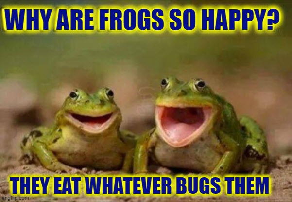 But I Heard that their favorite Restaurant was IHOP | WHY ARE FROGS SO HAPPY? THEY EAT WHATEVER BUGS THEM | image tagged in vince vance,two happy frogs,bugs,new memes,frog jokes | made w/ Imgflip meme maker