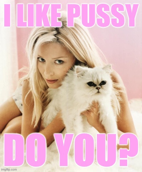 Are you a fan or nah? What are some of your experiences with pussy? Anything you found compelling or worthwhile? | image tagged in pussy,sex,pussy cats,cat,question,good question | made w/ Imgflip meme maker