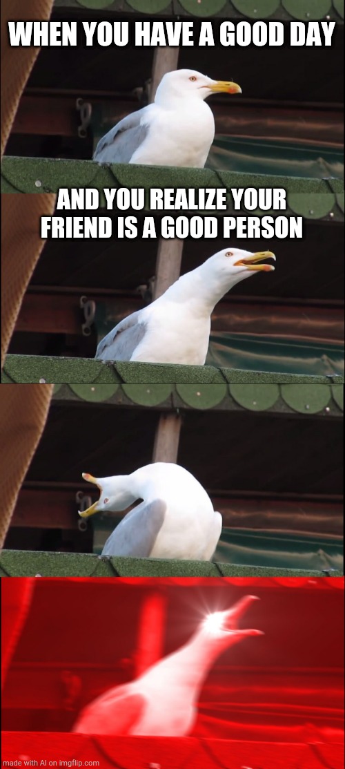 Inhaling Seagull | WHEN YOU HAVE A GOOD DAY; AND YOU REALIZE YOUR FRIEND IS A GOOD PERSON | image tagged in memes,inhaling seagull | made w/ Imgflip meme maker