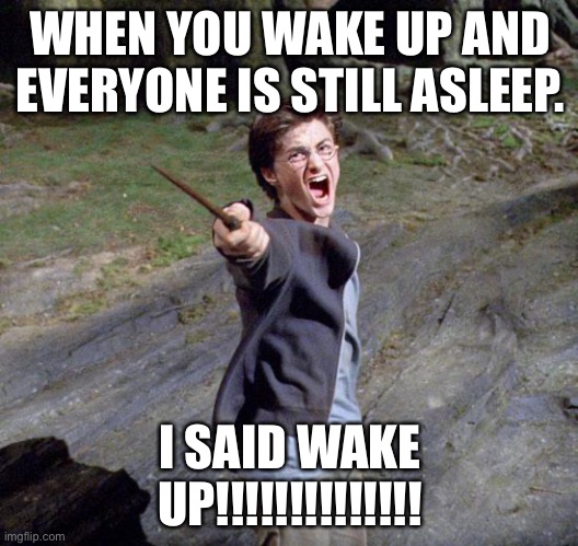 This happens to me a lot. | WHEN YOU WAKE UP AND EVERYONE IS STILL ASLEEP. I SAID WAKE UP!!!!!!!!!!!!!! | image tagged in harry potter | made w/ Imgflip meme maker