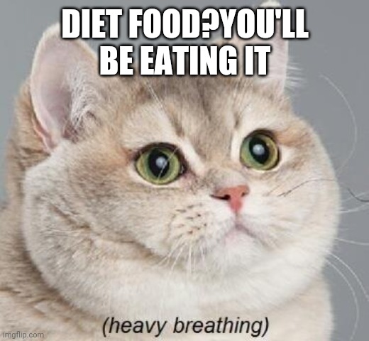 Heavy Breathing Cat Meme | DIET FOOD?YOU'LL BE EATING IT | image tagged in memes,heavy breathing cat | made w/ Imgflip meme maker