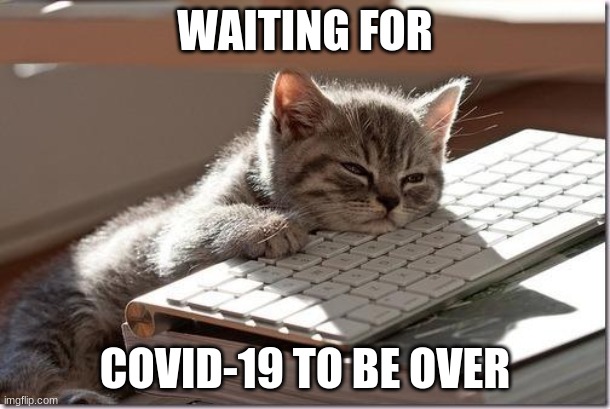 OOF | WAITING FOR; COVID-19 TO BE OVER | image tagged in bored keyboard cat | made w/ Imgflip meme maker
