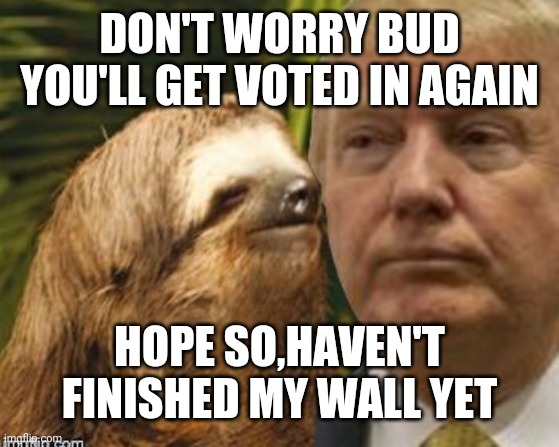 Political advice sloth | DON'T WORRY BUD YOU'LL GET VOTED IN AGAIN; HOPE SO,HAVEN'T FINISHED MY WALL YET | image tagged in political advice sloth | made w/ Imgflip meme maker
