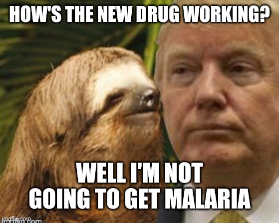 Political advice sloth | HOW'S THE NEW DRUG WORKING? WELL I'M NOT GOING TO GET MALARIA | image tagged in political advice sloth | made w/ Imgflip meme maker