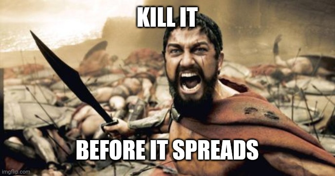 Sparta Leonidas Meme | KILL IT; BEFORE IT SPREADS | image tagged in memes,sparta leonidas | made w/ Imgflip meme maker