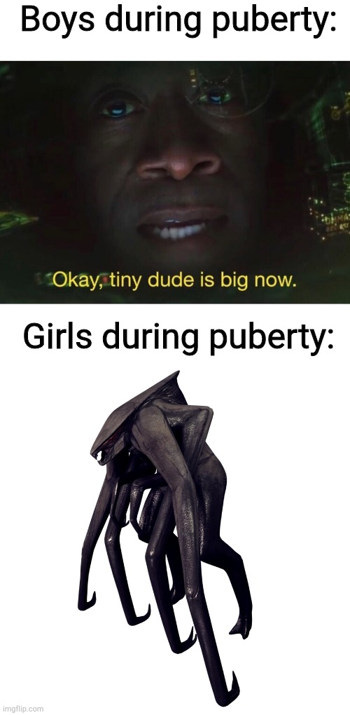 Boys during puberty:; Girls during puberty: | image tagged in tiny dude is big now,femuto | made w/ Imgflip meme maker