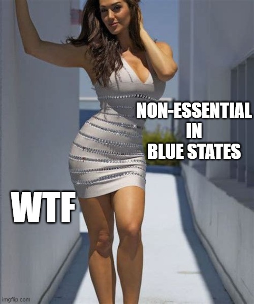 Essential? Definitely | NON-ESSENTIAL IN BLUE STATES; WTF | image tagged in all dressed no place to go,lockdown,social distancing | made w/ Imgflip meme maker