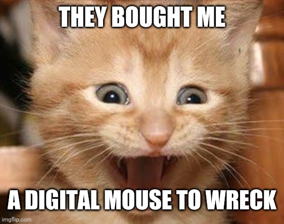 Excited Cat Meme | THEY BOUGHT ME; A DIGITAL MOUSE TO WRECK | image tagged in memes,excited cat | made w/ Imgflip meme maker