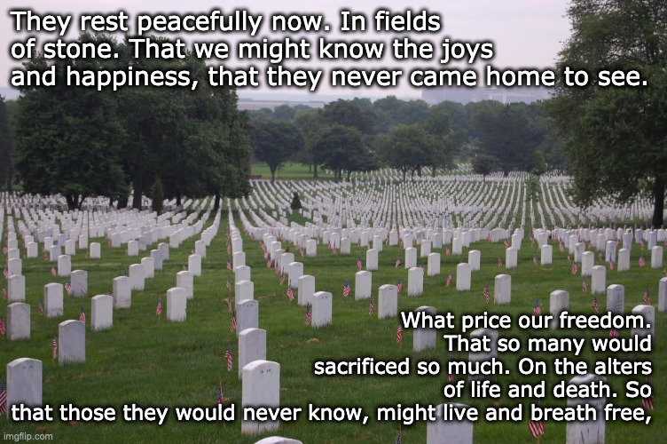 Rest Easy | What price our freedom. That so many would sacrificed so much. On the alters of life and death. So that those they would never know, might live and breath free, They rest peacefully now. In fields of stone. That we might know the joys and happiness, that they never came home to see. | image tagged in memorial day | made w/ Imgflip meme maker