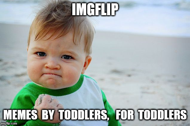 Success Kid / Nailed It Kid | IMGFLIP MEMES  BY  TODDLERS,   FOR  TODDLERS | image tagged in success kid / nailed it kid | made w/ Imgflip meme maker