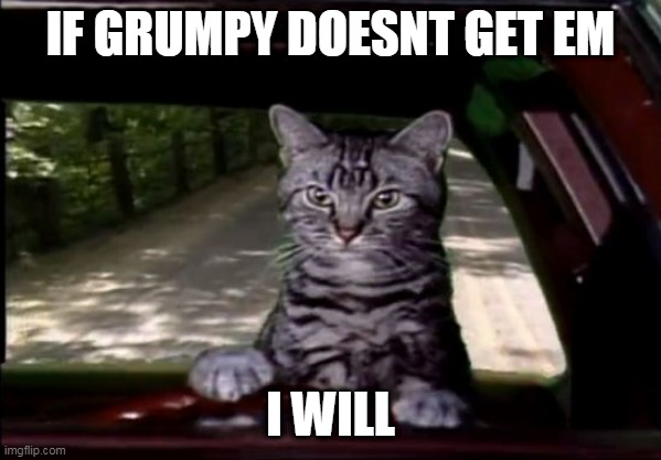 toonces | IF GRUMPY DOESNT GET EM I WILL | image tagged in toonces | made w/ Imgflip meme maker