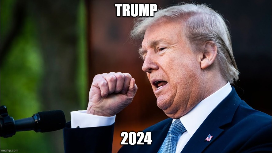 Trump 2024 Really? | TRUMP; 2024 | image tagged in trump,president,2024,2020,politics,election | made w/ Imgflip meme maker