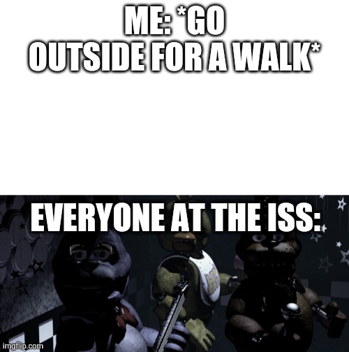 everyone at the ISS | ME: *GO OUTSIDE FOR A WALK*; EVERYONE AT THE ISS: | image tagged in fnaf | made w/ Imgflip meme maker