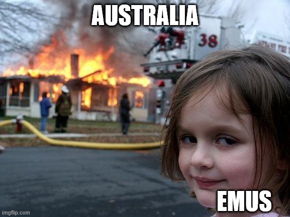 Disaster Girl Meme | AUSTRALIA; EMUS | image tagged in memes,disaster girl | made w/ Imgflip meme maker