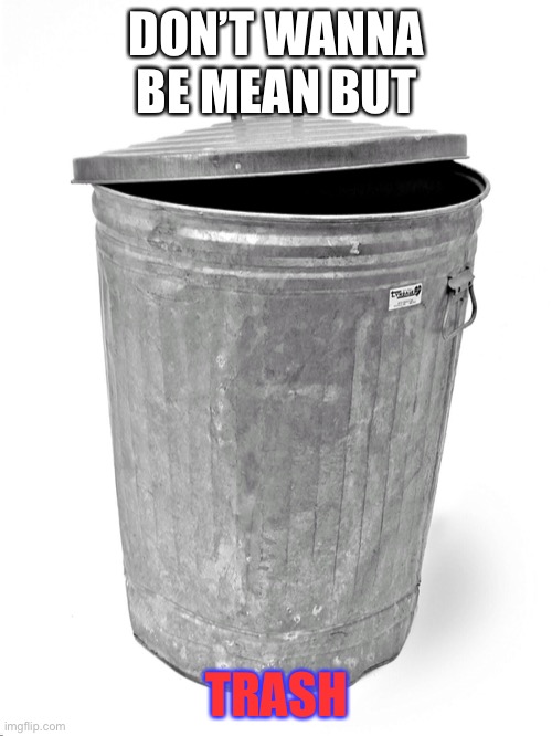 Trash Can | DON’T WANNA BE MEAN BUT TRASH | image tagged in trash can | made w/ Imgflip meme maker