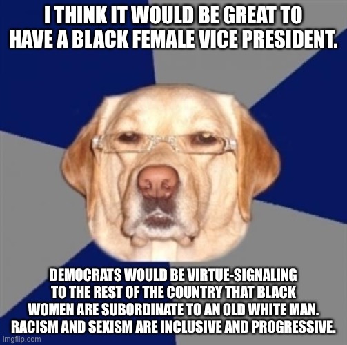 This might be too racy for the DNC to handle | I THINK IT WOULD BE GREAT TO HAVE A BLACK FEMALE VICE PRESIDENT. DEMOCRATS WOULD BE VIRTUE-SIGNALING TO THE REST OF THE COUNTRY THAT BLACK WOMEN ARE SUBORDINATE TO AN OLD WHITE MAN. RACISM AND SEXISM ARE INCLUSIVE AND PROGRESSIVE. | image tagged in racist dog,memes,black woman,joe biden,democrats,race | made w/ Imgflip meme maker