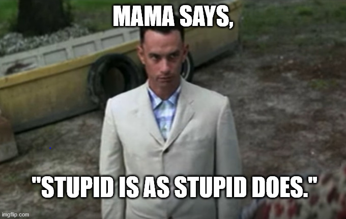 Stupid is as stupid does. | MAMA SAYS, "STUPID IS AS STUPID DOES." | image tagged in forrest gump,stupidity | made w/ Imgflip meme maker