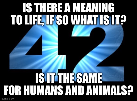 IS THERE A MEANING TO LIFE, IF SO WHAT IS IT? IS IT THE SAME FOR HUMANS AND ANIMALS? | made w/ Imgflip meme maker
