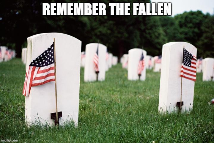 Memorial Day Headstones | REMEMBER THE FALLEN | image tagged in memorial day headstones | made w/ Imgflip meme maker