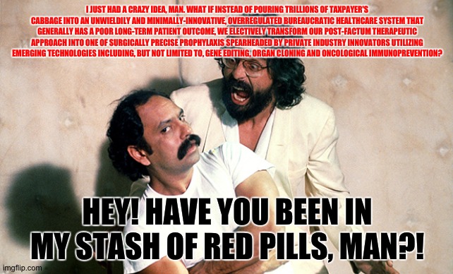 Red Pilled Cheech & Chong: Healthcare | I JUST HAD A CRAZY IDEA, MAN. WHAT IF INSTEAD OF POURING TRILLIONS OF TAXPAYER'S CABBAGE INTO AN UNWIELDILY AND MINIMALLY-INNOVATIVE, OVERREGULATED BUREAUCRATIC HEALTHCARE SYSTEM THAT GENERALLY HAS A POOR LONG-TERM PATIENT OUTCOME, WE ELECTIVELY TRANSFORM OUR POST-FACTUM THERAPEUTIC APPROACH INTO ONE OF SURGICALLY PRECISE PROPHYLAXIS SPEARHEADED BY PRIVATE INDUSTRY INNOVATORS UTILIZING EMERGING TECHNOLOGIES INCLUDING, BUT NOT LIMITED TO, GENE EDITING, ORGAN CLONING AND ONCOLOGICAL IMMUNOPREVENTION? HEY! HAVE YOU BEEN IN MY STASH OF RED PILLS, MAN?! | image tagged in red pill,political humor,healthcare | made w/ Imgflip meme maker