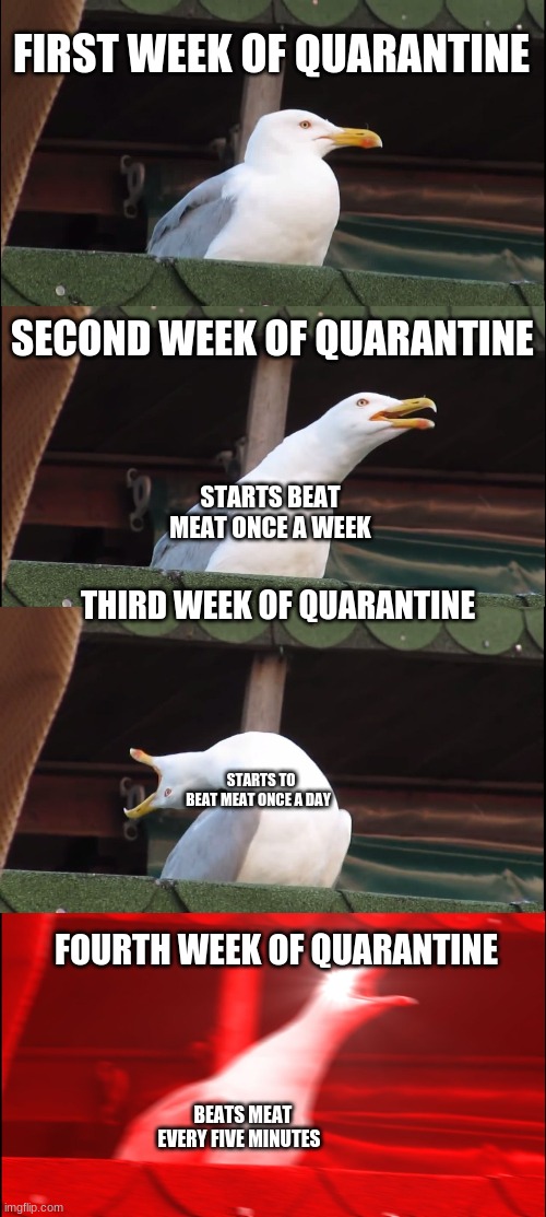 beat meat | FIRST WEEK OF QUARANTINE; SECOND WEEK OF QUARANTINE; STARTS BEAT MEAT ONCE A WEEK; THIRD WEEK OF QUARANTINE; STARTS TO BEAT MEAT ONCE A DAY; FOURTH WEEK OF QUARANTINE; BEATS MEAT EVERY FIVE MINUTES | image tagged in memes,inhaling seagull | made w/ Imgflip meme maker