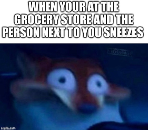 image tagged in nick wilde,grocery store,sneeze,memes | made w/ Imgflip meme maker