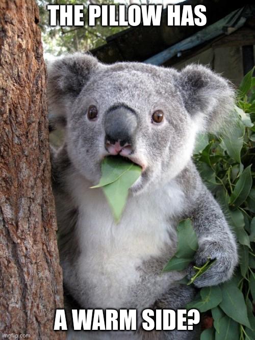 Surprised Koala Meme | THE PILLOW HAS A WARM SIDE? | image tagged in memes,surprised koala | made w/ Imgflip meme maker