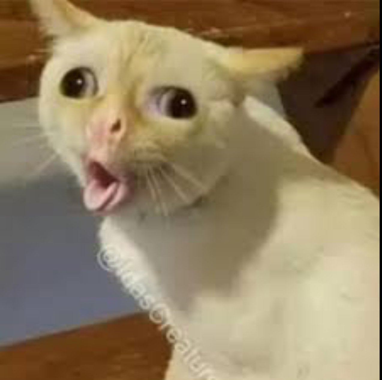 Need cpr Blank Meme Template