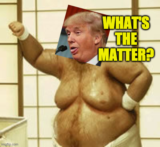 Fat bast*** | WHAT'S THE MATTER? | image tagged in fat bast | made w/ Imgflip meme maker