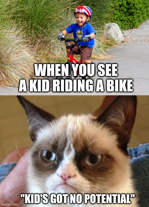 Grumpy 'Da Cat Does Not Approve | WHEN YOU SEE A KID RIDING A BIKE; "KID'S GOT NO POTENTIAL" | image tagged in funny cats,grumpy cat,bike,kids,grumpy cat not amused | made w/ Imgflip meme maker