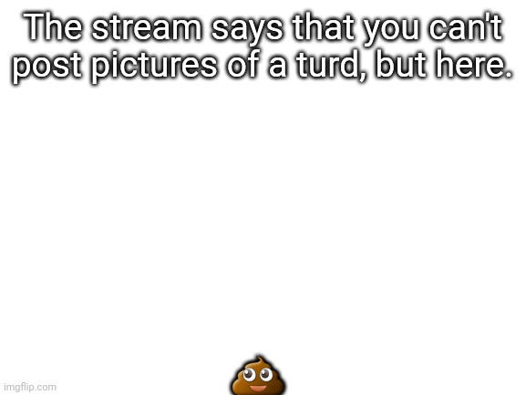 Blank White Template |  💩; The stream says that you can't post pictures of a turd, but here. | image tagged in blank white template | made w/ Imgflip meme maker