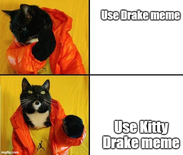 Kitty Drake | Use Drake meme Use Kitty Drake meme | image tagged in kitty drake | made w/ Imgflip meme maker