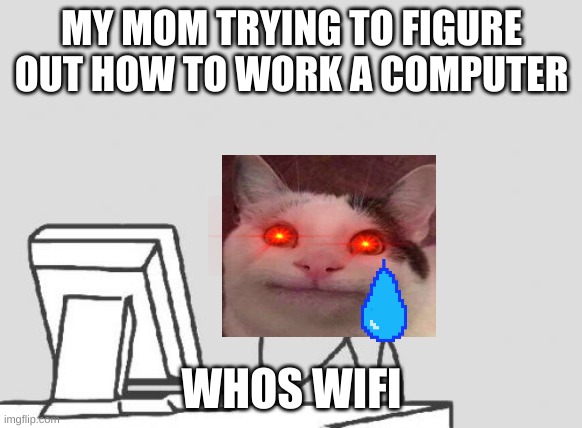 Computer Guy | MY MOM TRYING TO FIGURE OUT HOW TO WORK A COMPUTER; WHOS WIFI | image tagged in memes,computer guy | made w/ Imgflip meme maker